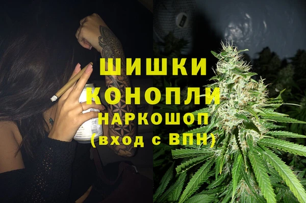 PSILOCYBIN Балахна