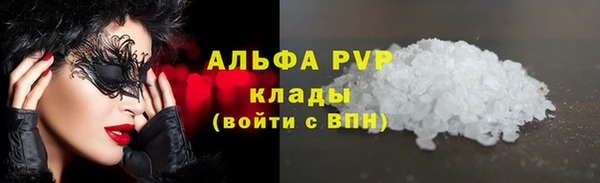 PSILOCYBIN Балахна