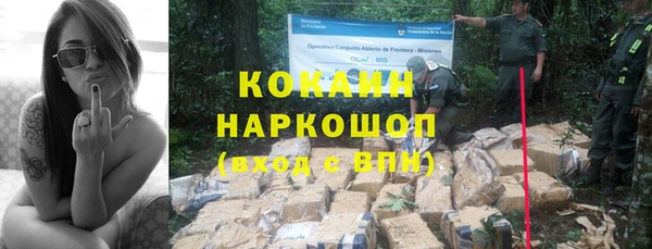 PSILOCYBIN Балахна